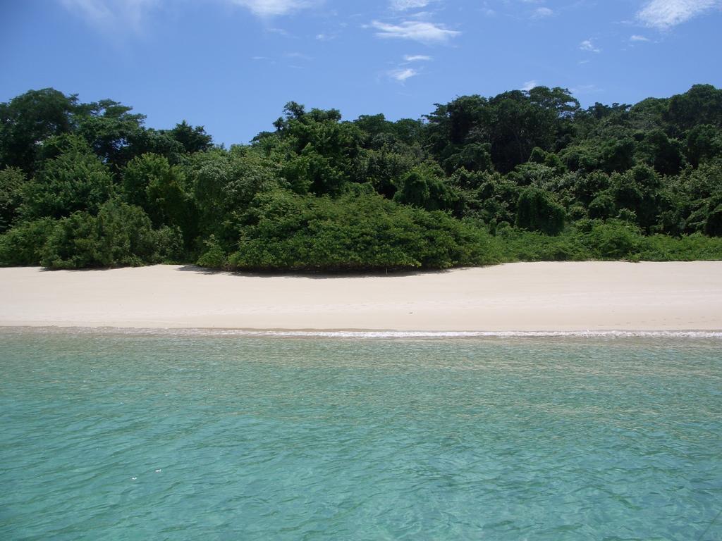 Beautiful Apartment With Terrace Contadora Island 객실 사진