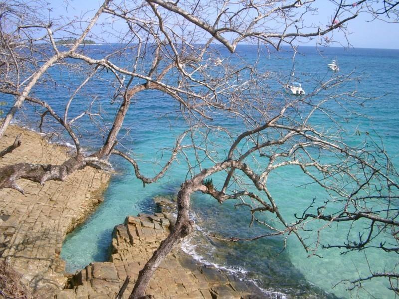 Beautiful Apartment With Terrace Contadora Island 객실 사진